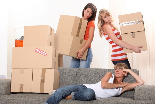Careful box packing and labeling for a move in Park Royal