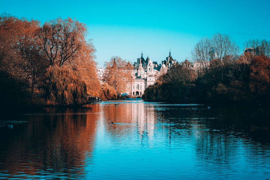 A view of a large river with calm water reflecting the surrounding trees, which have autumnal orange and brown foliage. In the background, a historic castle-like building with multiple towers and pointed roofs is partially visible through the trees. The scene is outdoors during daytime with bright natural lighting. This image exemplifies a scenic landscape, ideal for illustrating house removals and home relocation services by Man with Van Park Royal, where careful transportation of furniture and belongings is often involved in moving logistics and packing and moving processes.